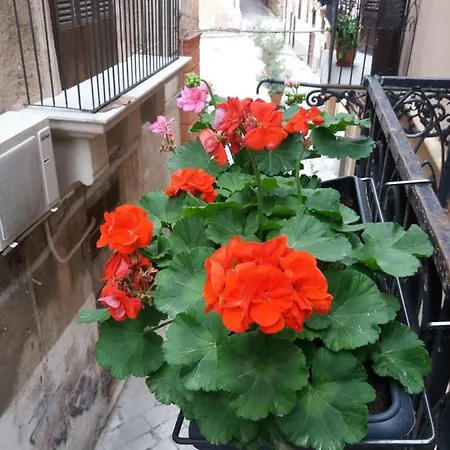 Apartament La Stanza Del Vicolo
